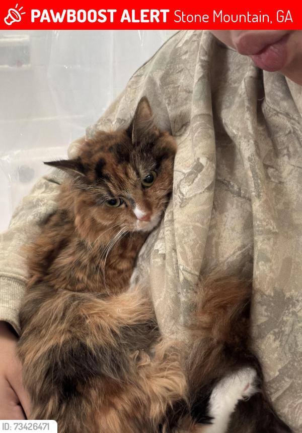 Lost Female Cat last seen Pennybrook Ct, Stone Mountain, GA 30087