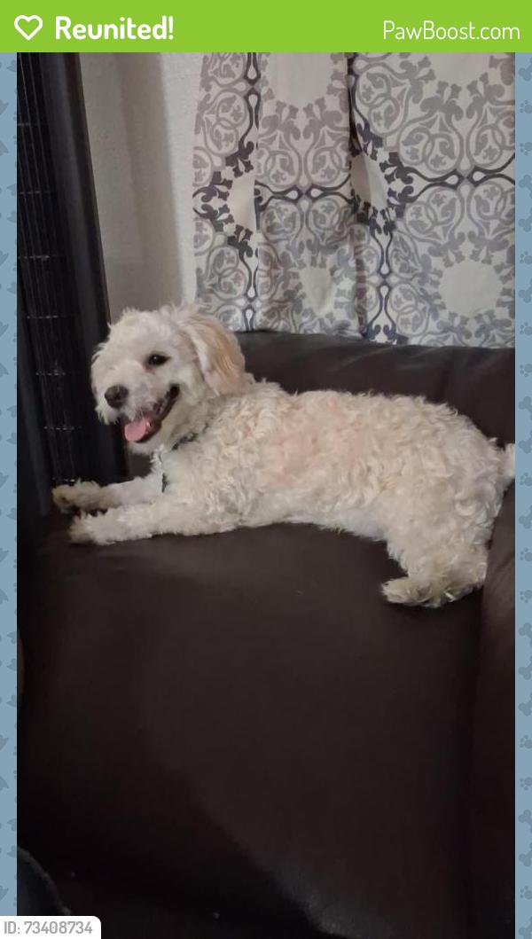 Reunited Male Dog last seen Near Estrella Avenue 92105 San Diego CA, San Diego, CA 92105