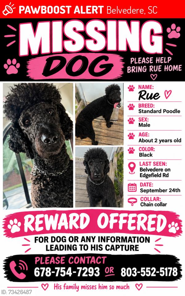 Lost Male Dog last seen Edgefield rd, Belvedere, SC 29841