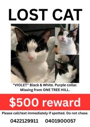 Lost Female Cat last seen Blacktop road, One Tree Hill, SA 5114