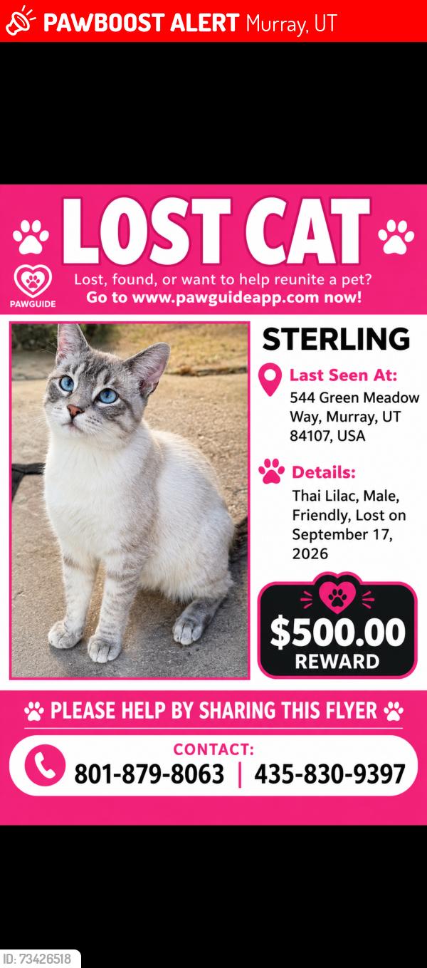 Lost Male Cat last seen James Pointe apmts (West end of complex), Murray, UT 84107