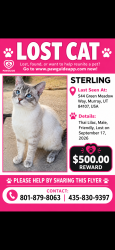 Lost Male Cat last seen James Pointe apmts (West end of complex), Murray, UT 84107