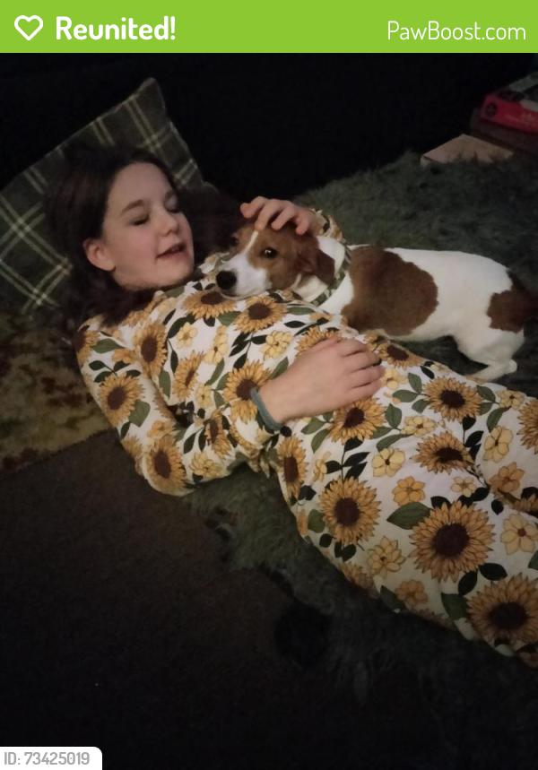 Reunited Male Dog last seen Near State Route 305, Fowler, OH, 44418, USA, Fowler, OH 44418