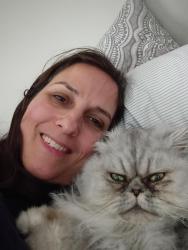 Lost Male Cat last seen Braddock road, Burke, VA 22015
