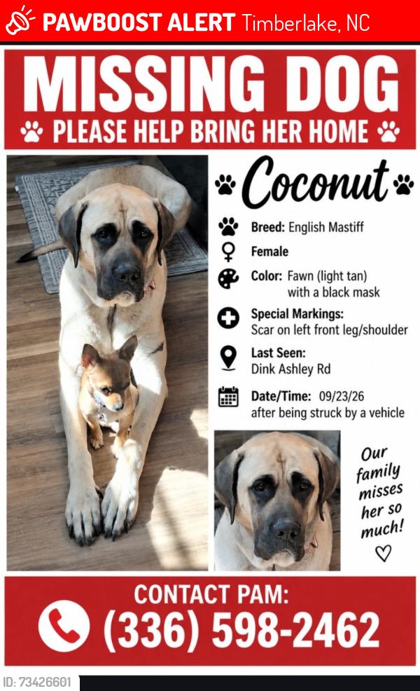 Lost Female Dog last seen Dink Ashley Rd, Timberlake, NC 27583