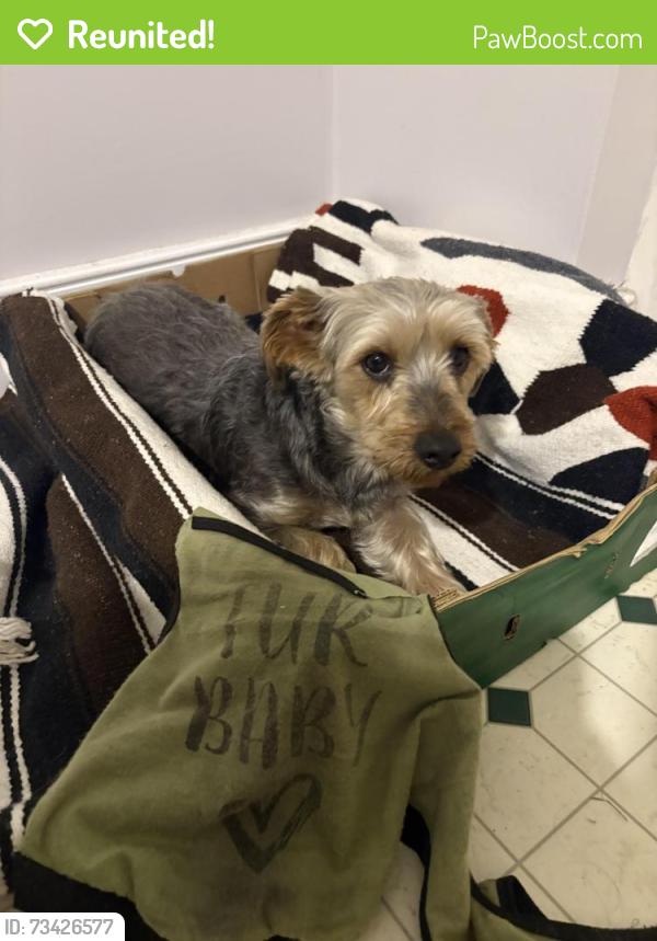 Reunited Male Dog last seen Alley behind 410 w Marshall, Richmond va, Richmond, VA 23220