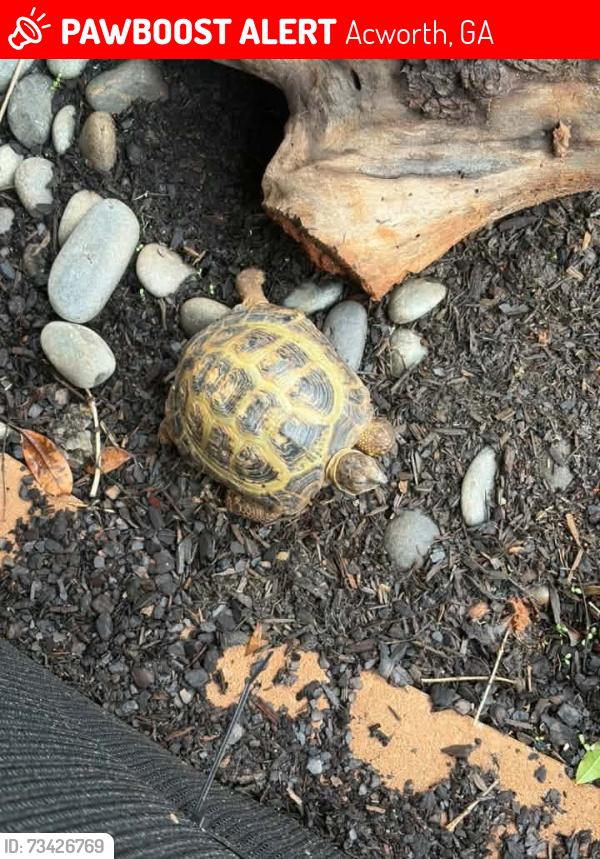 Lost Male Reptile last seen Acworth industrial rd, Acworth, GA 30101
