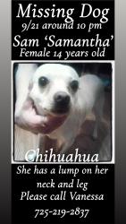 Lost Female Dog last seen Rainbow and Spring Valley, Las Vegas, NV 89103
