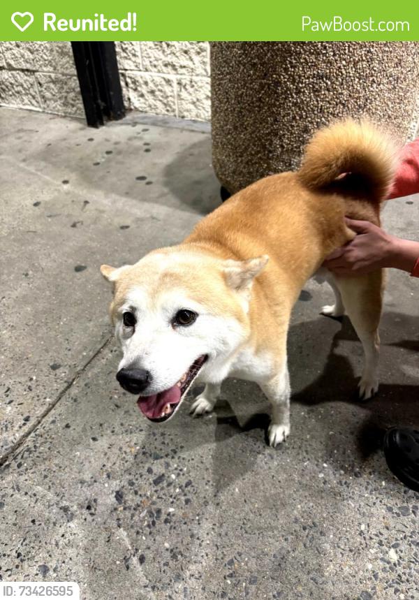 Reunited Male Dog last seen Near on portlock road, Chesapeake, VA 23324