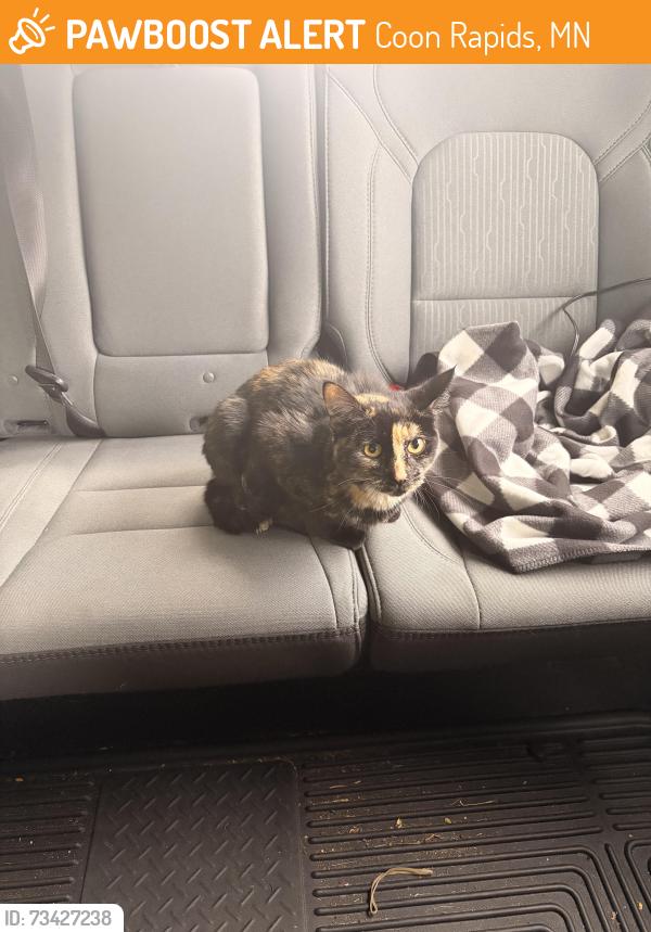 Found/Stray Unknown Cat last seen Coon rapids blvd and egret, Coon Rapids, MN 55433