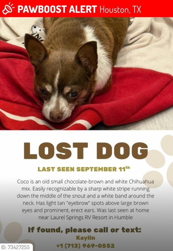 Lost Female Dog last seen Near eastex fwy, Houston, TX 77339