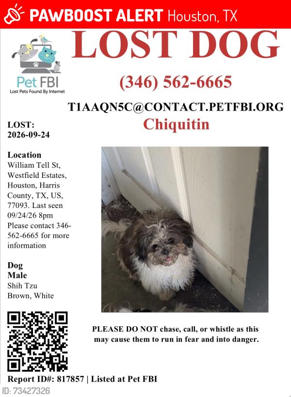 Lost Male Dog last seen William, Houston, TX 77093