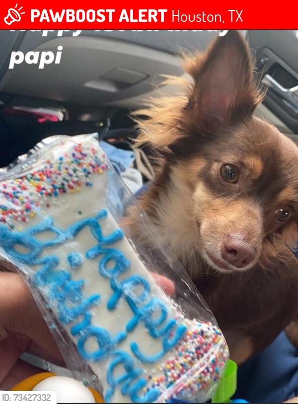 Lost Male Dog last seen Near canino rd, Houston, TX 77076