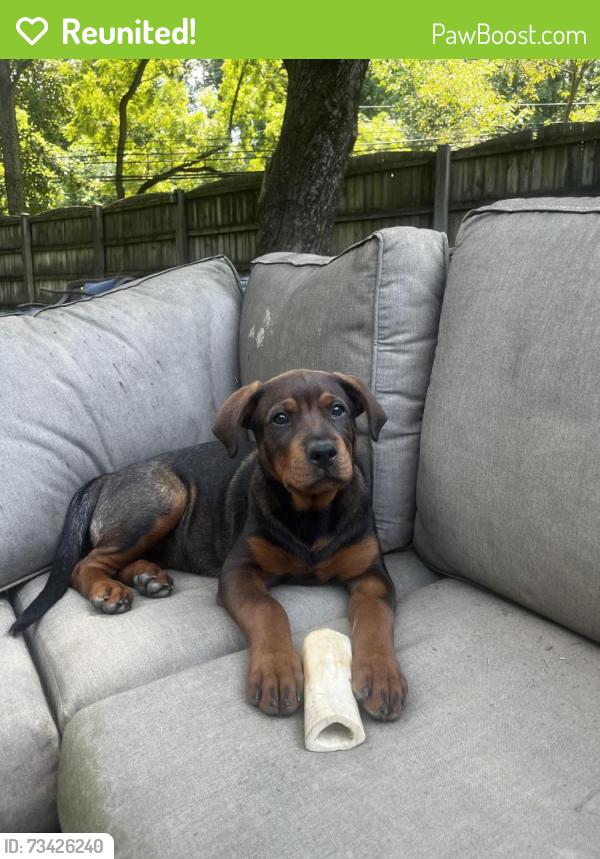 Reunited Female Dog last seen Olney Sandy-Spring Rd, Olney, MD 20832