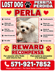 Reunited Female Dog last seen Tabscott dr, Chantilly, VA 20151