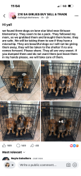 Found/Stray Unknown Dog last seen Lone star Blvd, San Antonio, TX 78210
