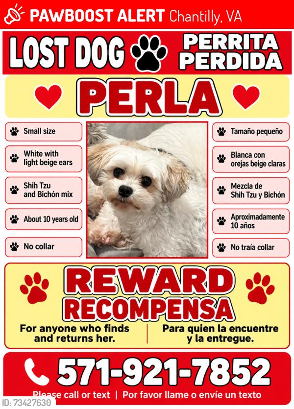 Lost Female Dog last seen Lees Corner rd, Chantilly, VA 20151