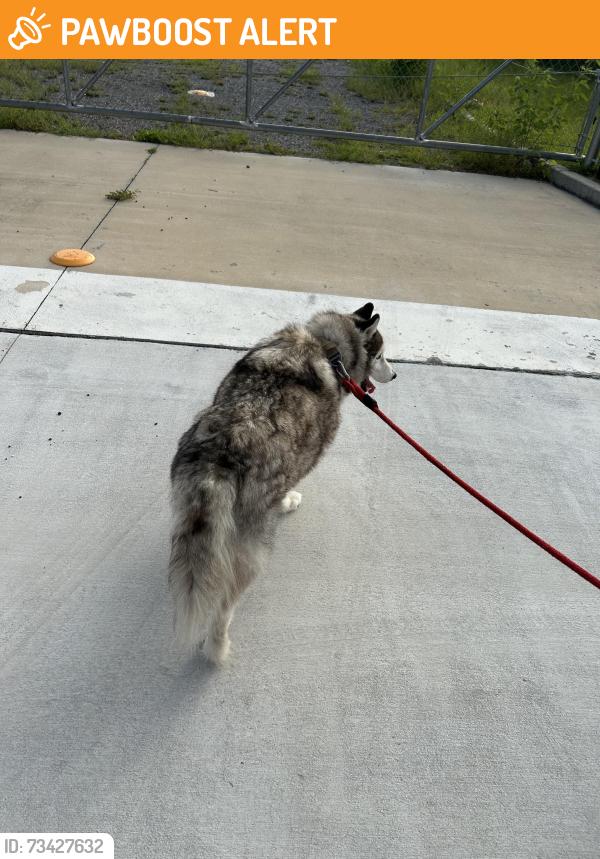 Found/Stray Male Dog last seen Bayou Grande Villa, Escambia County, FL 32507