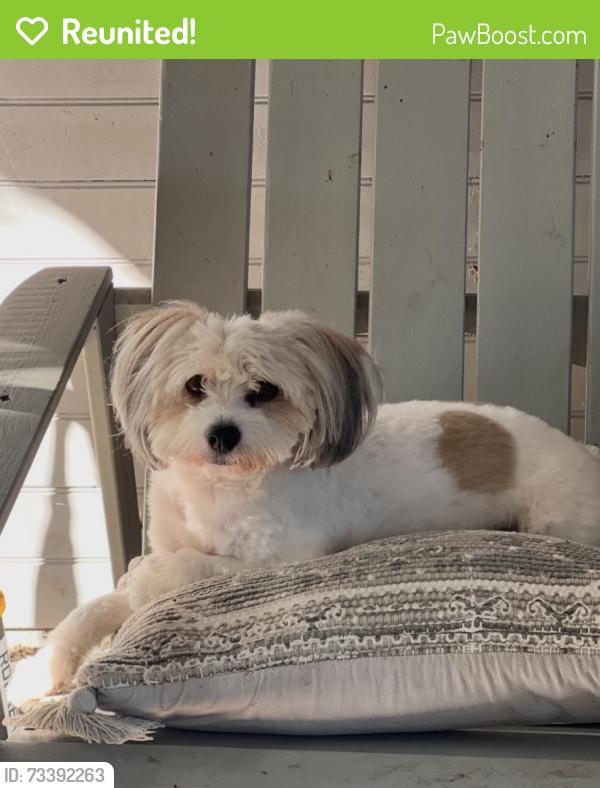 Reunited Male Dog last seen Marietta Highway, Canton, GA 30114