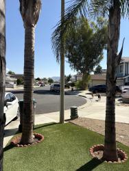 Found/Stray Unknown Dog last seen Lasselle and JFK, Moreno Valley, CA 92553