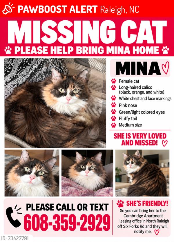 Lost Female Cat last seen Near Chesterbrook ct, Raleigh, NC 27615