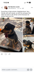 Found/Stray Male Dog last seen Will be taken to the Rio Rancho Animal Control, Rio Rancho, NM 87144