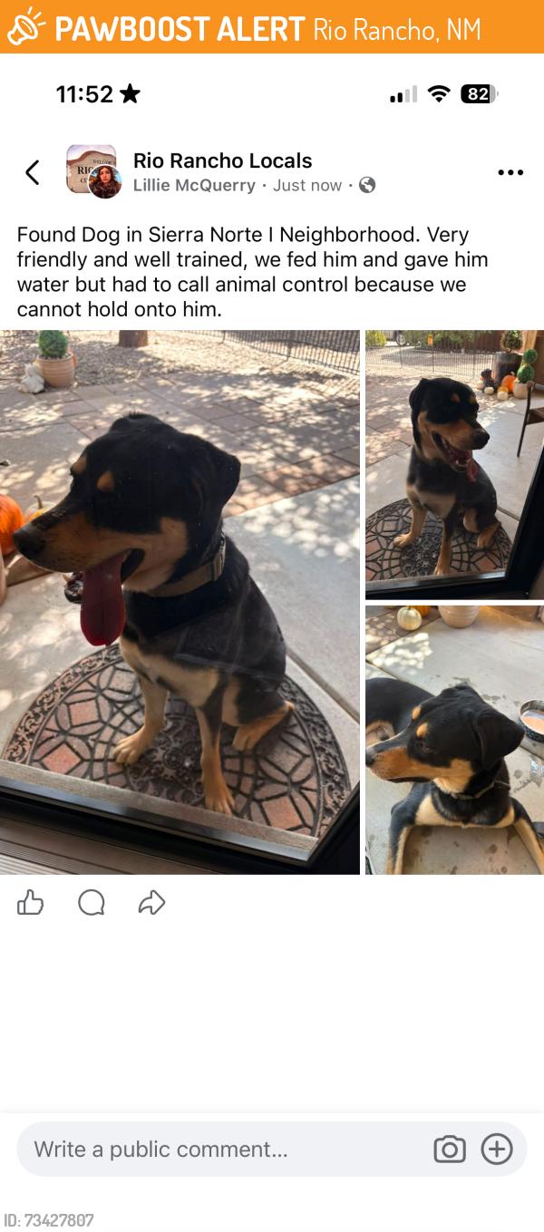 Found/Stray Male Dog last seen Will be taken to the Rio Rancho Animal Control, Rio Rancho, NM 87144