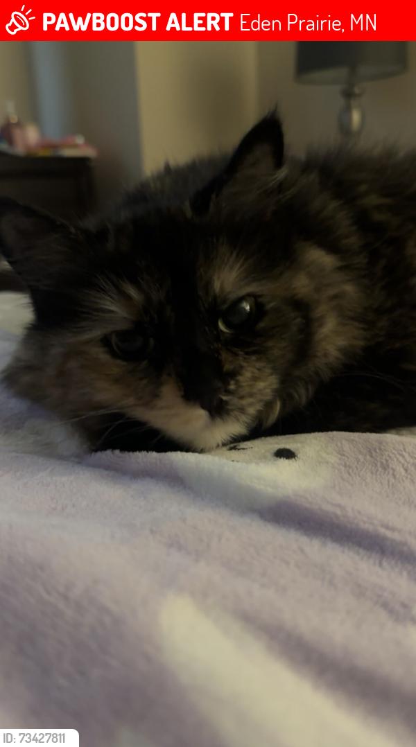 Lost Female Cat last seen Wellington drive, Eden Prairie, MN 55344