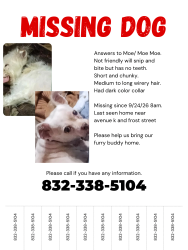 Reunited Female Dog last seen Frost St, Rosenberg, TX 77471, USA, Rosenberg, TX 77471