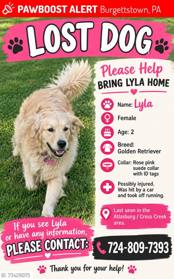 Lost Female Dog last seen Atlasburg Rd/Cowden Rd, Burgettstown, PA 15021