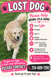 Lost Female Dog last seen Atlasburg Rd/Cowden Rd, Burgettstown, PA 15021