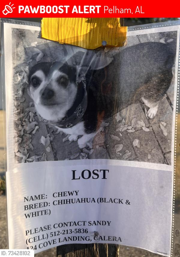 Lost Male Dog last seen Near, Pelham, AL 35124