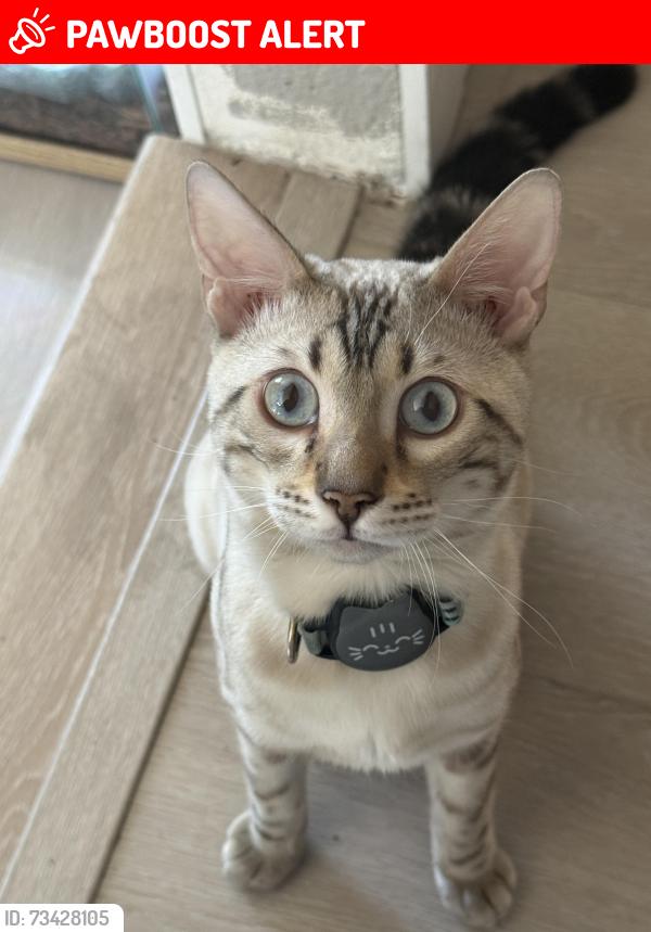 Lost Male Cat last seen Hillside Community Church, Rancho Cucamonga, CA 91737