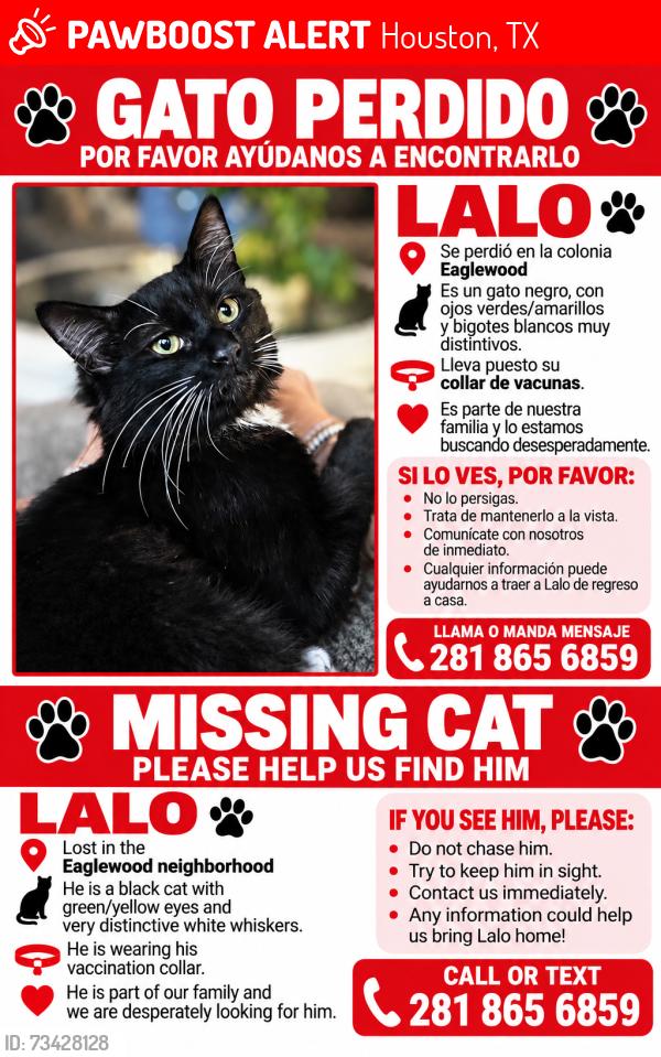 Lost Male Cat last seen Near Lynn crest ct houston tx 77083, Houston, TX 77083