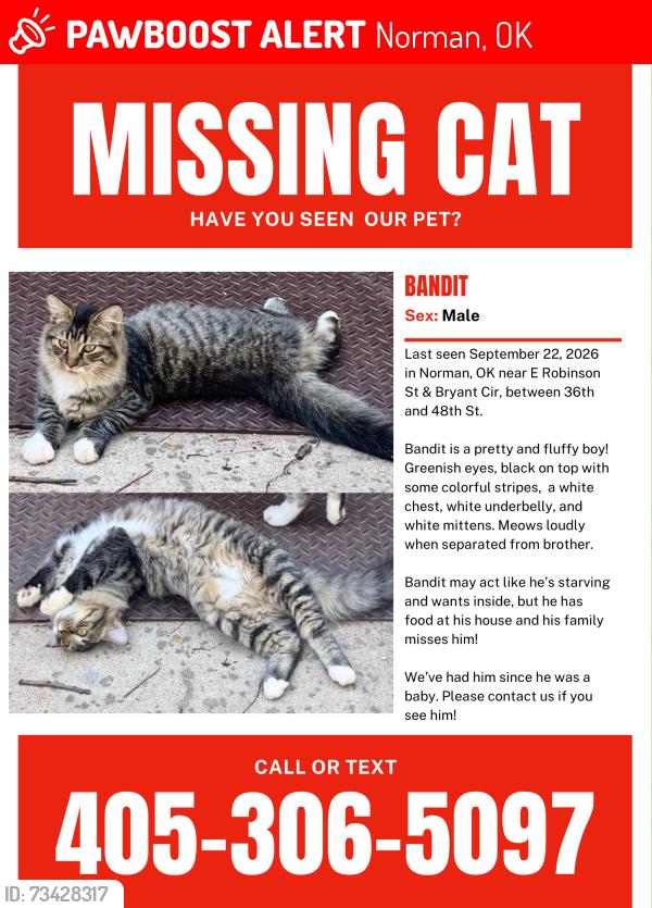 Lost Male Cat last seen E Robinson St & Bryant Cir, between 36th and 48th, Norman, OK 73026
