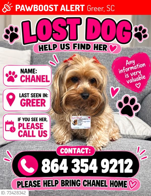 Lost Female Dog last seen Greer, Greer, SC 29651