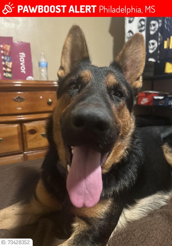 Lost Male Dog last seen Fairview volunteer fire department, Philadelphia, MS 39350