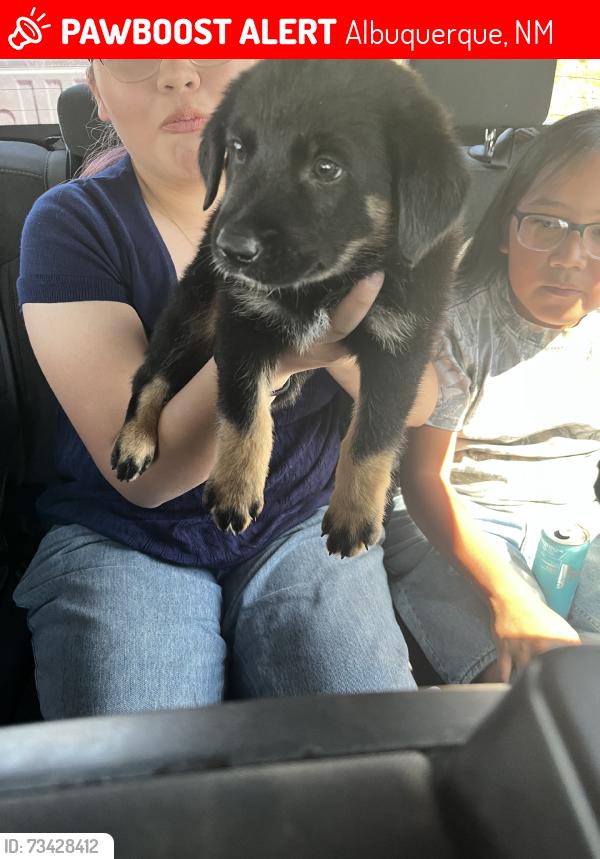Lost Male Dog last seen Tomasita ST NE & Hannet AVE NE, Albuquerque, NM 87112