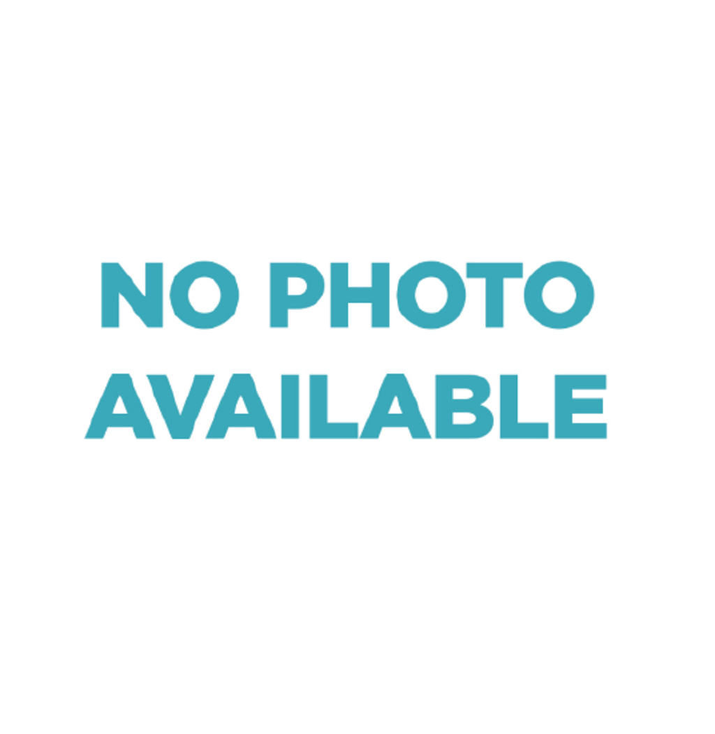 Shelter Stray Male Cat last seen Lucky Street, Oceanside, CA, 92054, Oceanside, CA 92058, USA