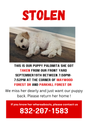 Lost Female Dog last seen Near maywood forest Dr Houston TX 77088, Houston, TX 77088