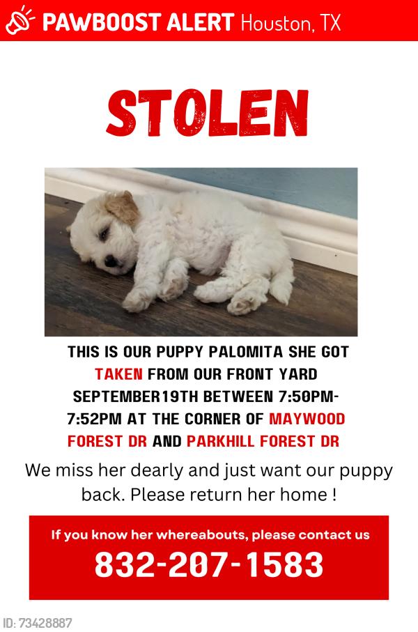 Lost Female Dog last seen Near maywood forest Dr Houston TX 77088, Houston, TX 77088