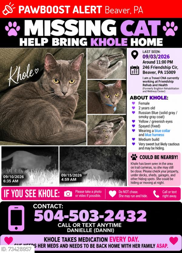Lost Female Cat last seen Friendship Rehab and Health, Beaver, PA 15009