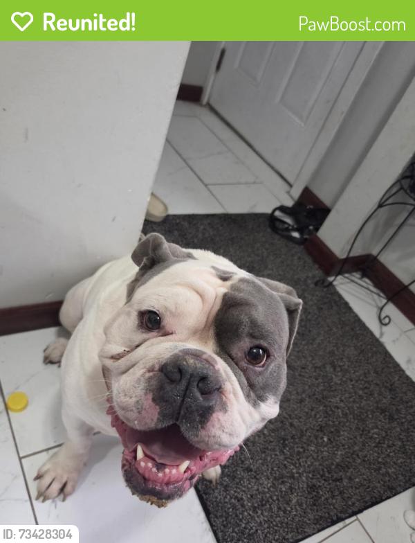Reunited Male Dog last seen White bear av, Saint Paul, MN 55106