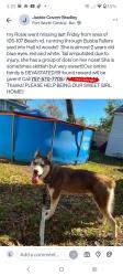 Lost Female Dog last seen Fox Hill rd, Hampton, VA 23664