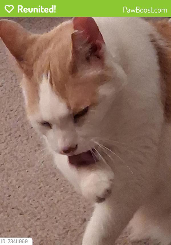 Reunited Unknown Cat last seen Parkwood and Keystone, 91106, Pasadena, CA 91107