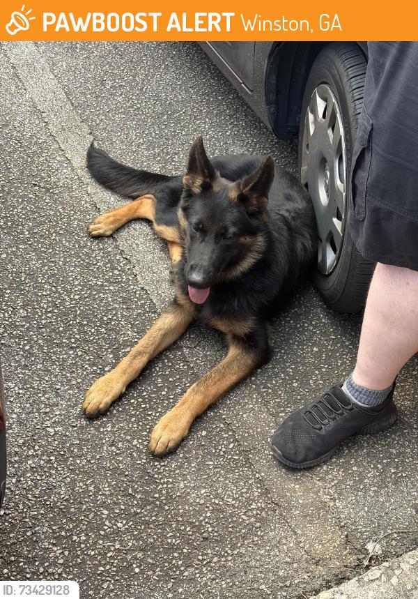 Found/Stray Male Dog last seen Veterans memorial and post road, Winston, GA 30187