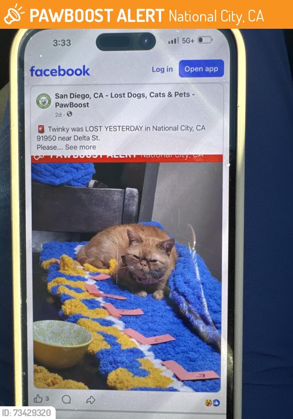 Found/Stray Female Cat last seen Scott dr & delta st, National City, CA 92113
