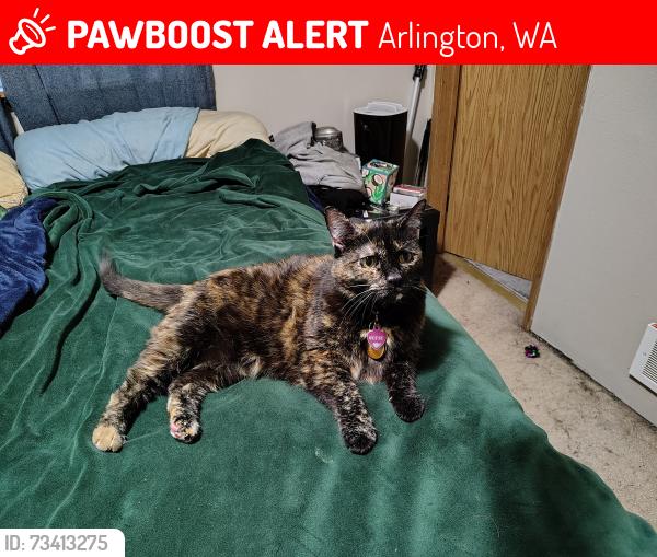 Lost Female Cat last seen 179th PL NE and 37th Dr Ne, Arlington, WA 98223