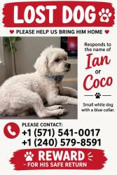 Lost Male Dog last seen Herdon, Herndon, VA 20171
