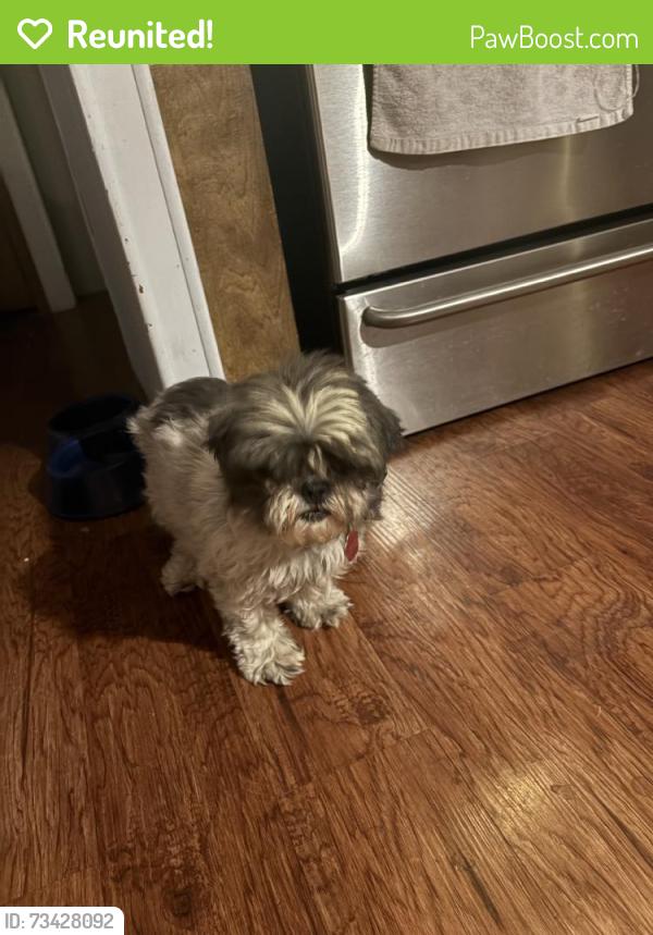 Reunited Female Dog last seen Seven Palms, Phoenix, AZ 85022, USA, Phoenix, AZ 85022